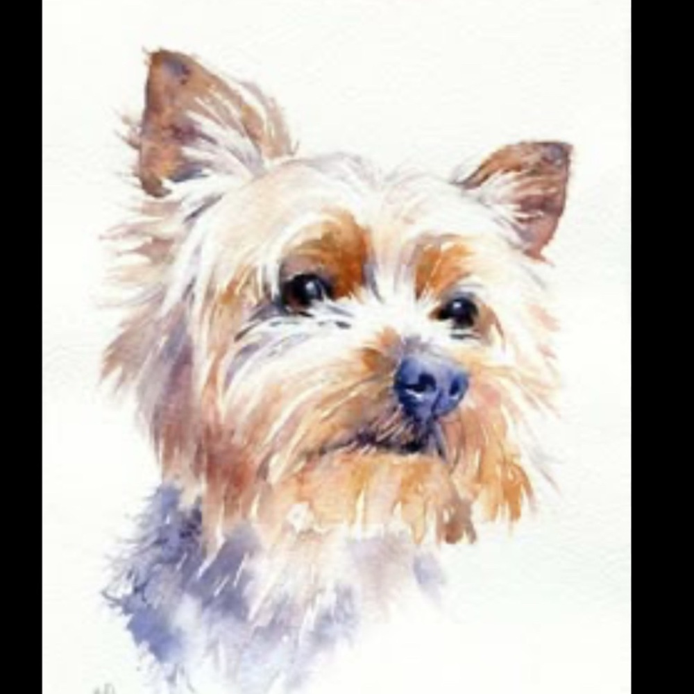 Snorkie “Art Print”